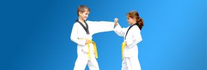 Bully Busting-Pinnacle Martial Arts in Marrickville Inner West and Chester Hill South West Sydney