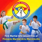 Martial Arts Marrickville