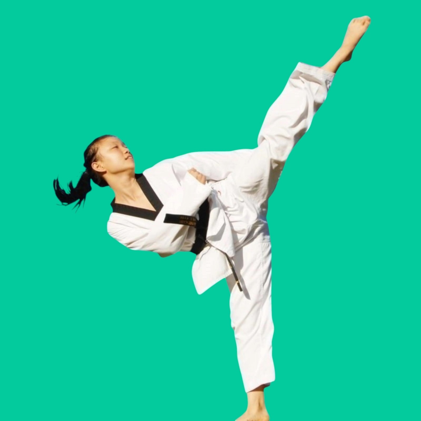Kung Fu in South Granville for kids teens and adults