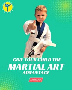 what-is-why-pinnacle Karate Martial Arts Taekwondo Kung Fu Martial Arts Self Defence and Martial Arts Fitness