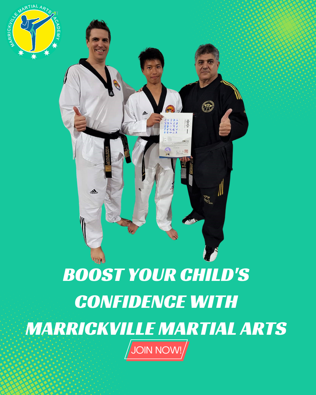 what-is-why-pinnacle Karate Martial Arts Taekwondo Kung Fu Martial Arts Self Defence and Martial Arts Fitness