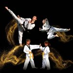 A Modern Martial Arts System at Pinnacle Taekwondo Martial Arts in South Granville for kids teens and adults