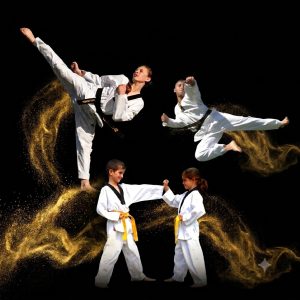A Modern Martial Arts System at Pinnacle Taekwondo Martial Arts in South Granville for kids teens and adults