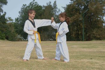 Pinnacle Martial Arts, Taekwondo, Fitness, Kung Fu, Karate & Self Defence classes in Marrickville Inner West of Sydney & Chester Hill Bankstown Area South West Sydney for Kids, Teens & Adults. Pinnacle Martial Arts, Taekwondo, Fitness, Kung Fu, Karate & Self Defence classes in Marrickville Inner West of Sydney & Chester Hill Bankstown Area South West Sydney for Kids, Teens & Adults.
