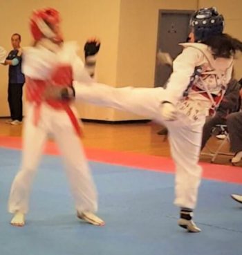 Pinnacle Martial Arts a combination of Kung Fu, Taekwondo + Karate + Martial Arts in Marrickville Inner West Sydney for kids teens and adults Taekwondo + Karate Martial Arts in Marrickville Inner West Sydney