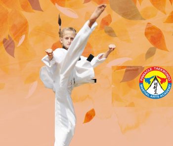 Taekwondo Marrickville-Pinnacle Taekwondo in Marrickville Inner West Sydney for kids teens and adults. Taekwondo Marrickville for Kids, Teens + adults