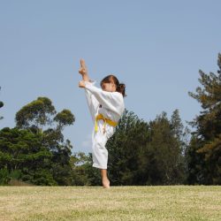 Karate in Mascot, Croydon Park & Marrickville for Kids Teens Adults Families