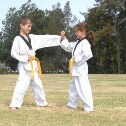 Martial Arts Chester Hill for Kids Teens Adults Families